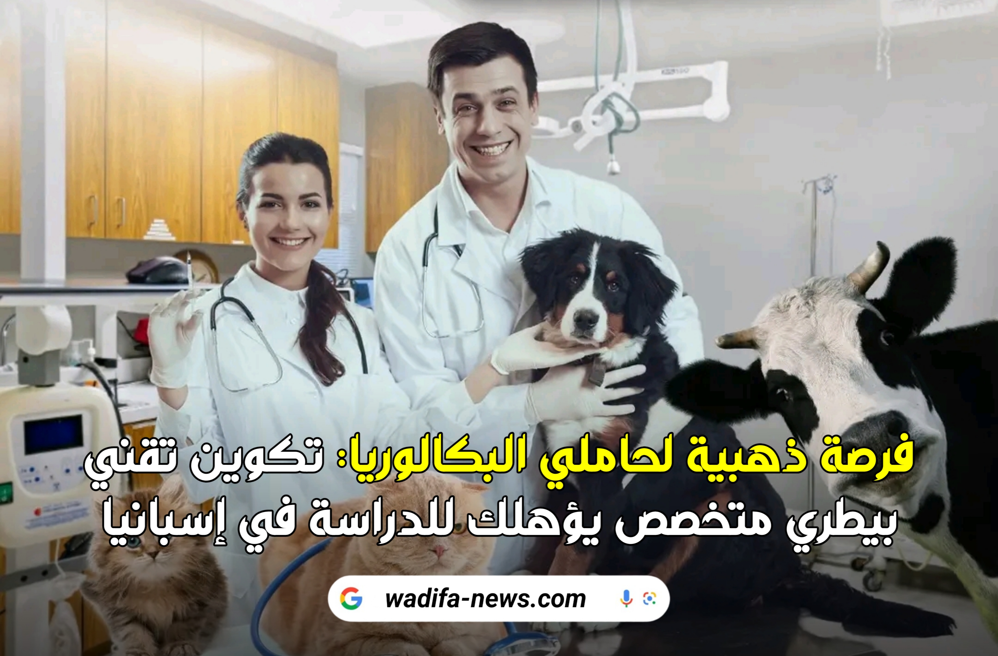 فرصة ذهبية: مباراة ولوج معهد التكوين في مهنة "تقني بيطري متخصص" بأكادير بشراكة مع جامعة إسبانية!