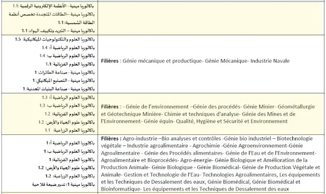 المدرسة العليا للتكنولوجيا و كلية العلوم والتقنيات (EST - FST).