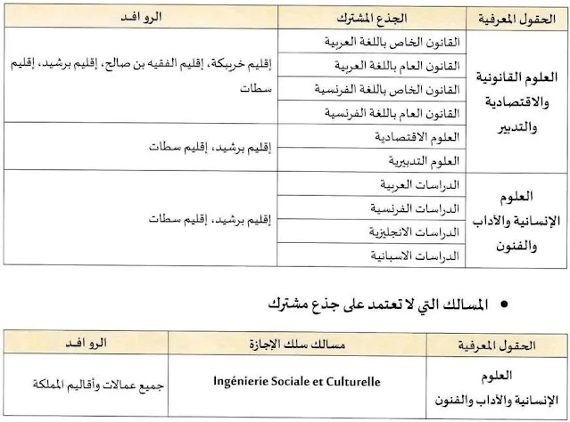 التوزيع الجغرافي لجامعة الحسن الاول سطات: مسالك الاجازة بجامعة الحسن الاول سطات.