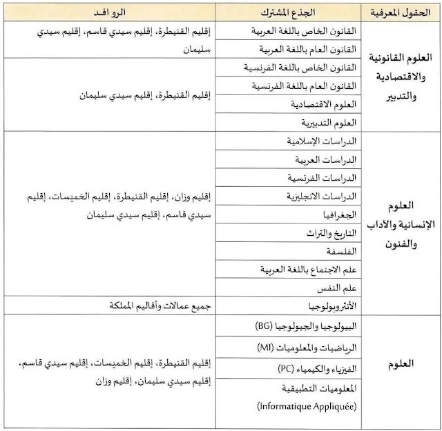 التوزيع الجغرافي لجامعة ابن طفيل القنيطرة: مسالك الاجازة بجامعة ابن طفيل القنيطرة.